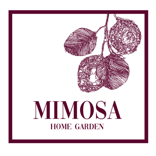 Floristeria Mimosa