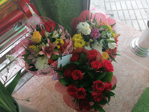 Flores Y Plantas Juanvic