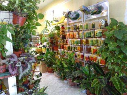 Floristería Greflor