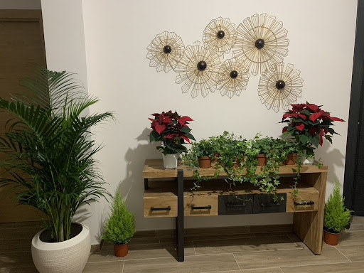 Apartamentos Rurales Flores para Ángela