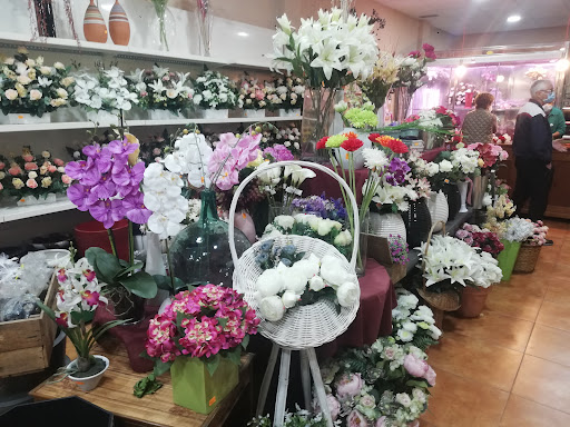 Floristeria Sara