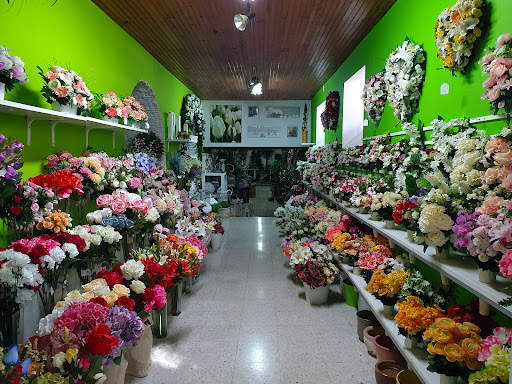 Floristería Olivia