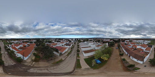 Vegaviana