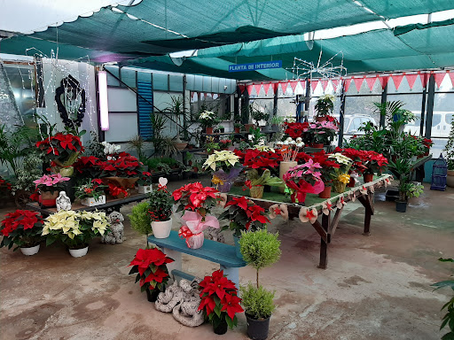 Viveros La Huerta