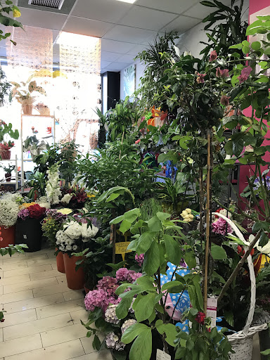 Floristería Kentia