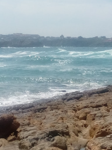 Viveros Castañeda