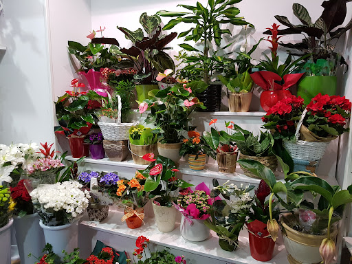 Floristería El Trébol