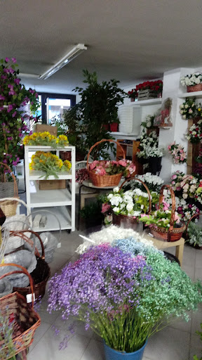 Floristería Ana