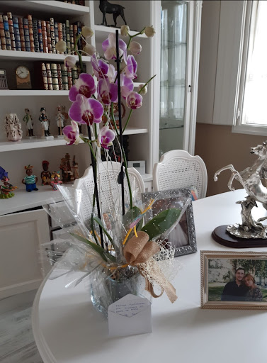Floristería Agapanto