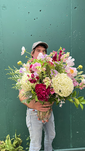 Mora Floristas