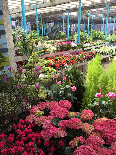 Rebolledo Floristería y Centro de Jardinería en Santander