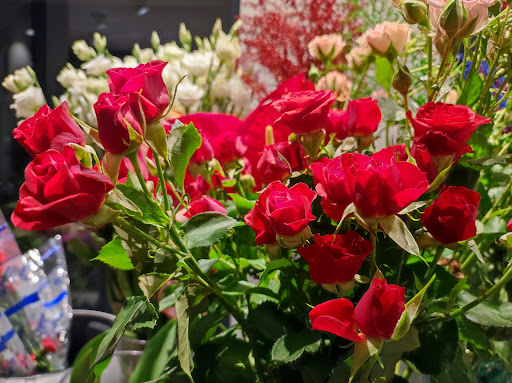 Floristería R. Mimendez, Abedules