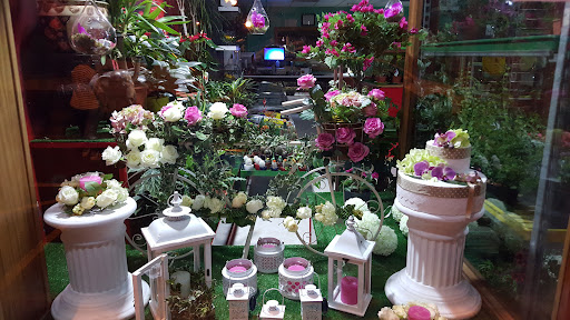 FLORISTERIA ROSA