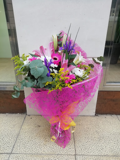 FLORISTERÍA ALTEA