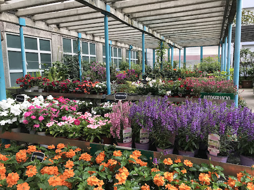 Rebolledo Floristería y Centro de Jardinería en Santander