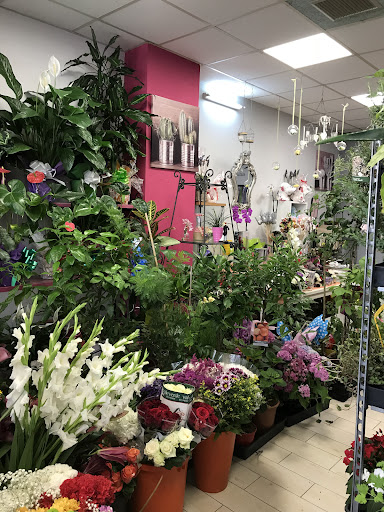 Floristería Kentia