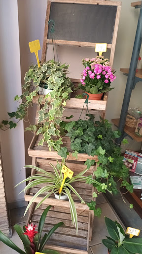 Floristería Pili