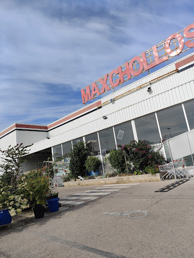 MAX CHOLLOS • Basar Xinès