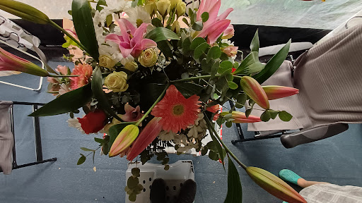 Floristería Feliu
