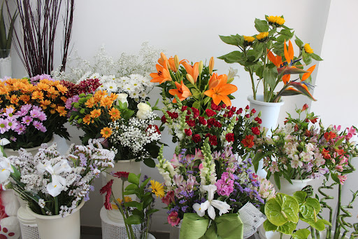 Floristería Los Claveles