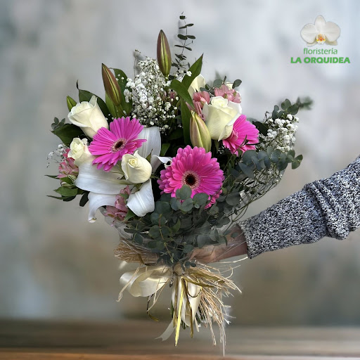 Floristeria La Orquídea Castellón