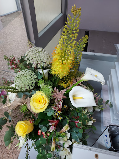 Floristería Sayas