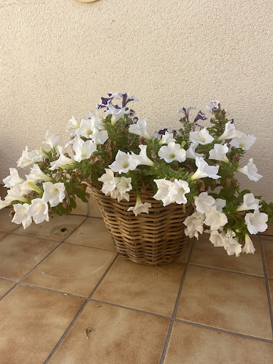 Mundo Jardín