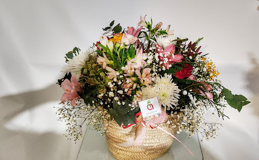Art Natural Floristería en Valencia