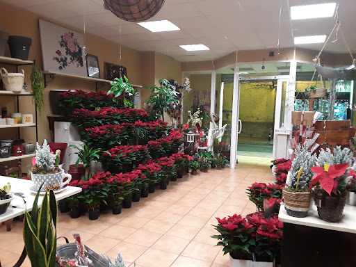 Floristeria De Viri