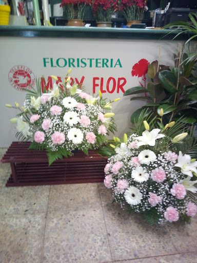 FLORISTERÍA MARY FLOR