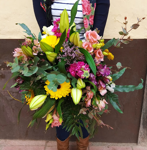 Floristeria Signia