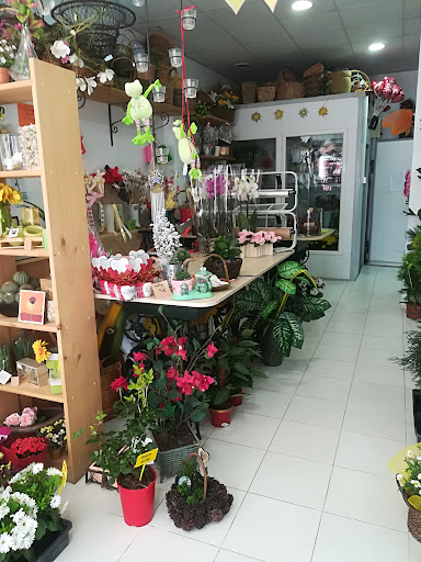 COCO FLOWERS