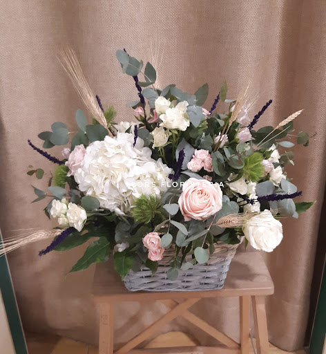Flors Floristeria BlancaB