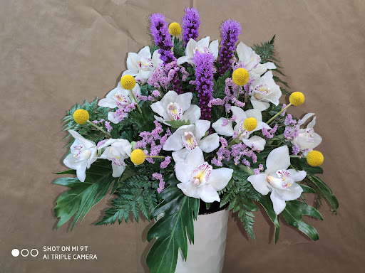Floristeria Innovaflor
