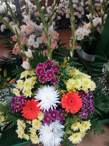 Floristería El Lazo
