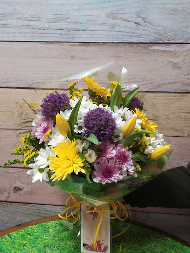 Floristería Mayoral Almadén