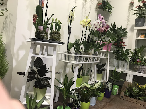 Floristería Vístete de Flores.