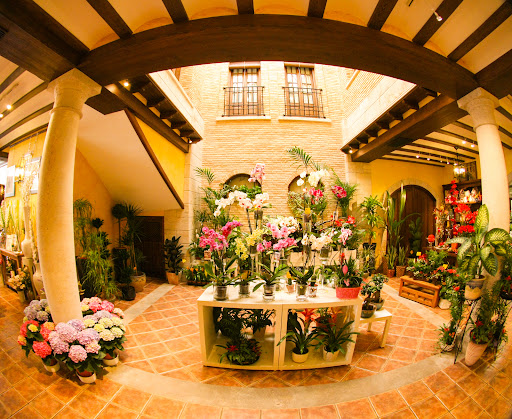 González Floristas