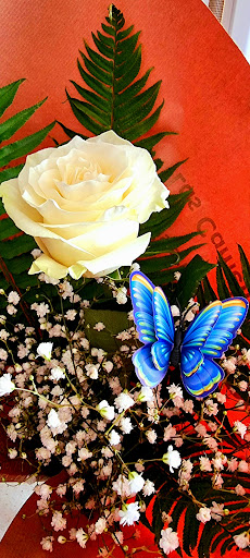 Floristería Musgo