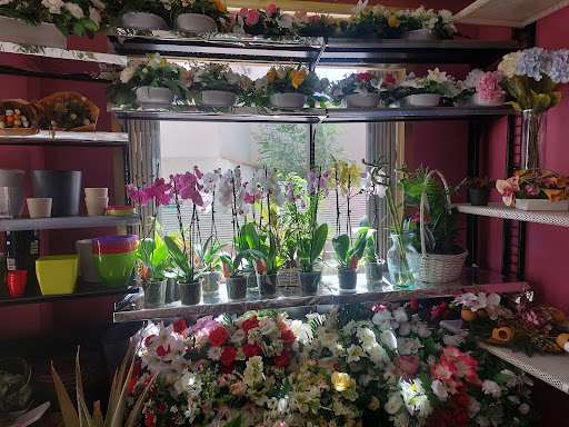 Florístería Santa Gema