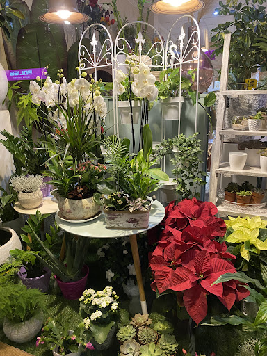 Floristería Mercedes