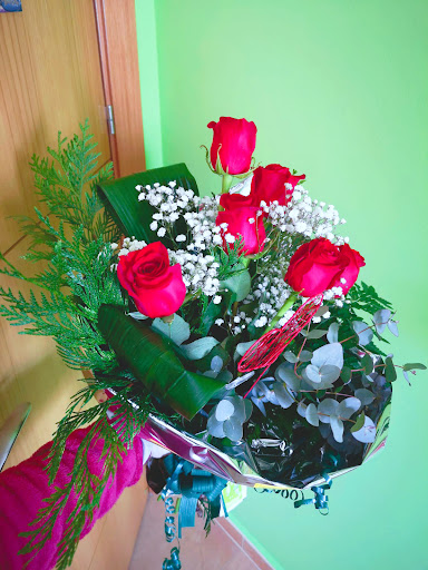 Floristeria Musgo Olivo