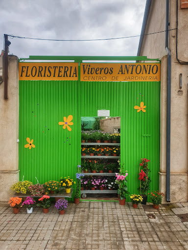 Floristería Viveros Antonio