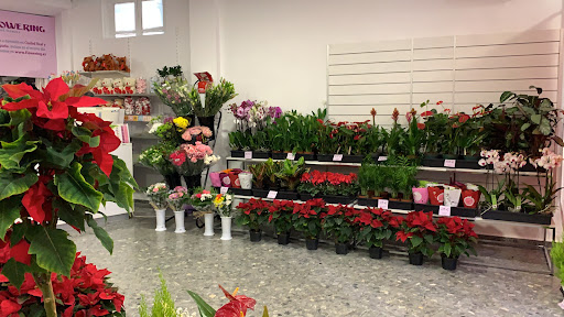 FLOWERING 𝐅𝐥𝐨𝐫𝐢𝐬𝐭𝐞𝐫í𝐚 enviar flores a domicilio a Ciudad Real