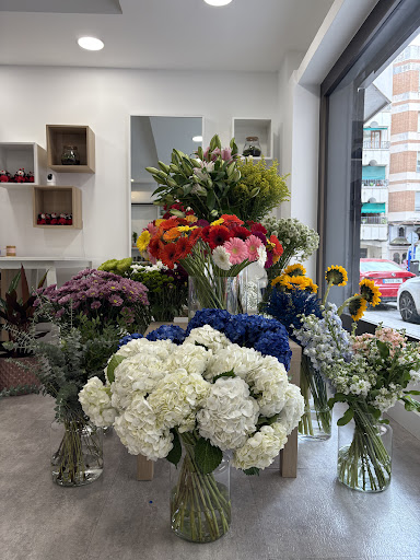Pompeyana floristería