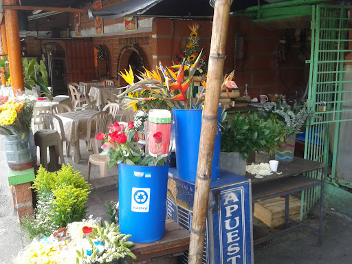 Floristería