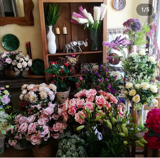 Floristería Rosa