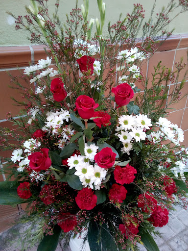 Garden Tomiflor