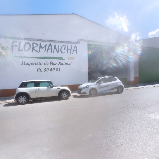 Flormancha
