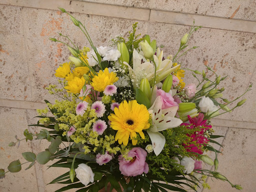 Jardín Flor